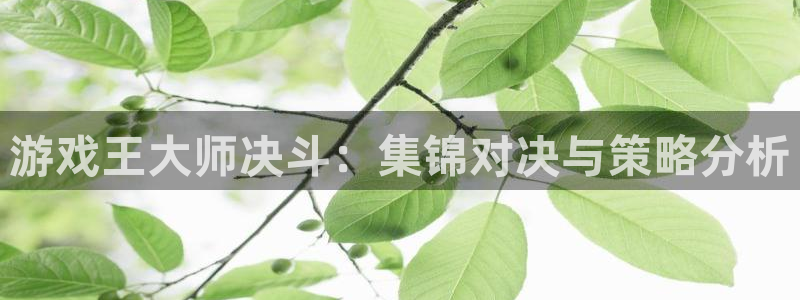 米乐M6数控折弯机技术